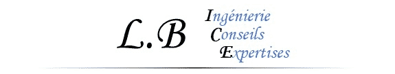Logo SAS LB ICE