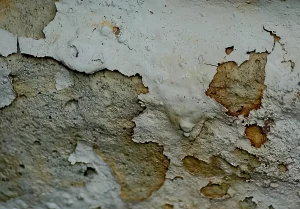 a quoi sert un deshumidificateur